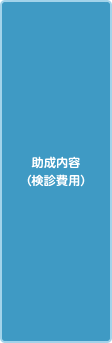 助成内容（検診費用）